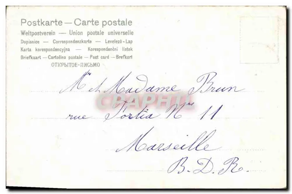 Rosa Blumen und Mäuseohr — Serie 241 — Verlag Vidal - Rückseite