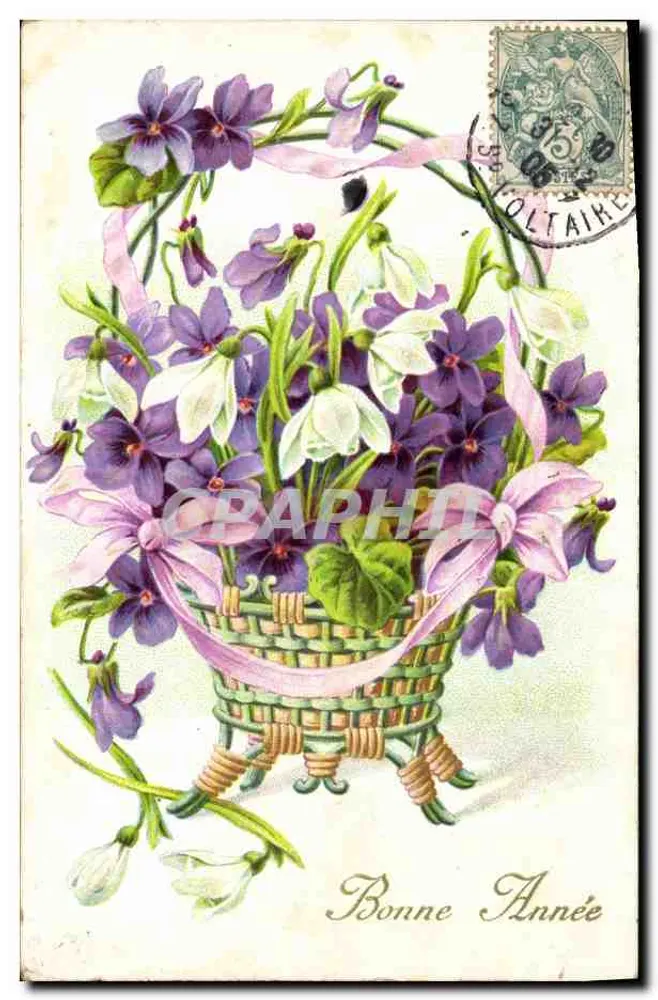Arranjo de violetas e flores brancas — Boa Ano — editor desconhecido - Frente