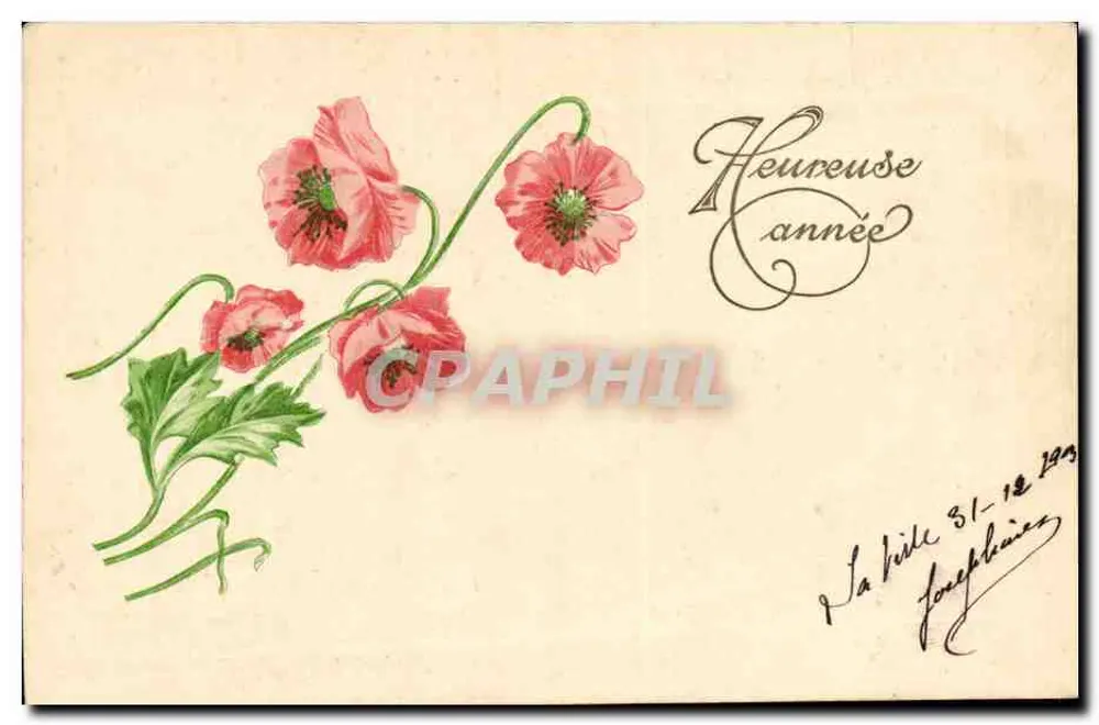 Viooltjes van papaver — Gelukkig Nieuwjaar — La Ville - Voorkant