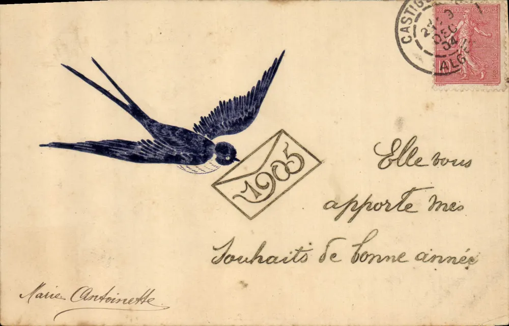 Oiseau portant une enveloppe — 1905 — Éditeur : Carte Postale - Vorderseite