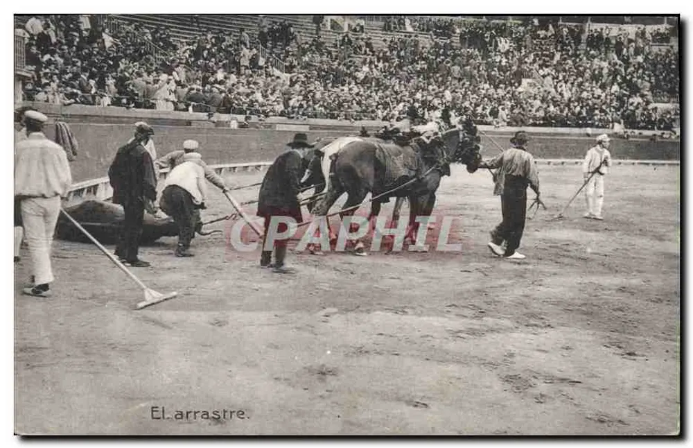 El arrastre — espetáculo de touro em Madrid — Madrid Express - Frente