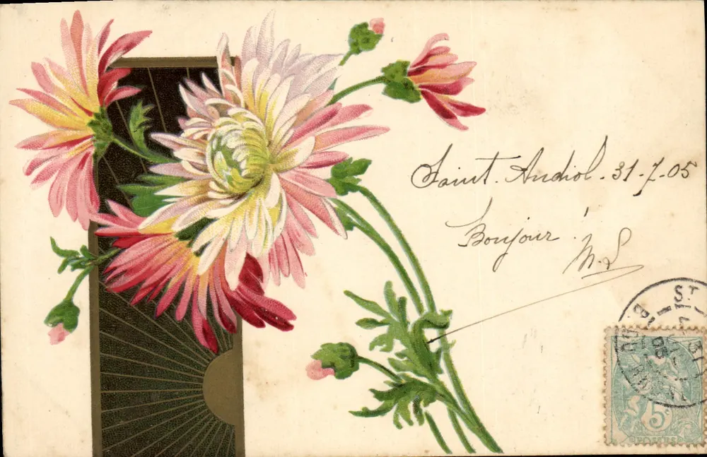 Flores de crisântemos — Saint-Andiol — Carta postal multilíngue - Frente
