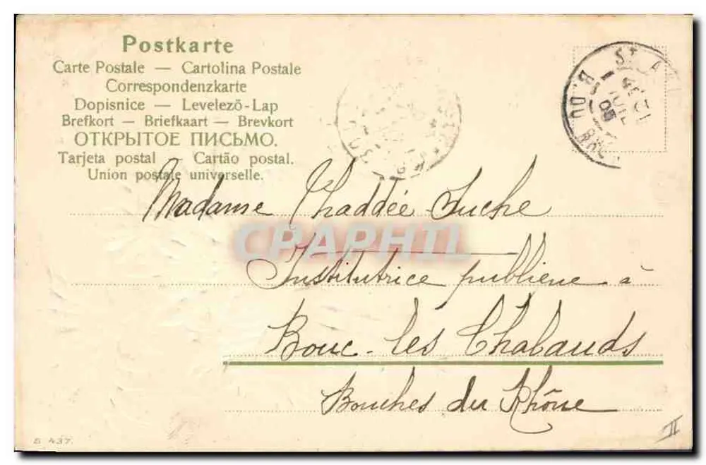 Flores de crisântemos — Saint-Andiol — Carta postal multilíngue - Verso