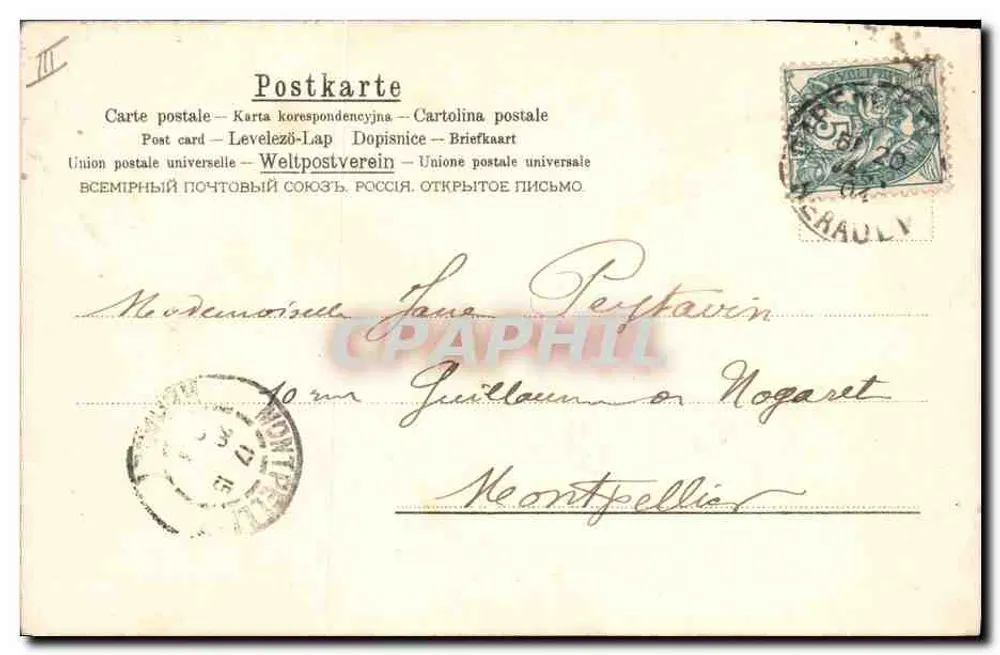 Frau in weißem Kleid mit Kamera — floraler Art Nouveau-Design — Verlag A. M. N. (Nr. 134) - Rückseite