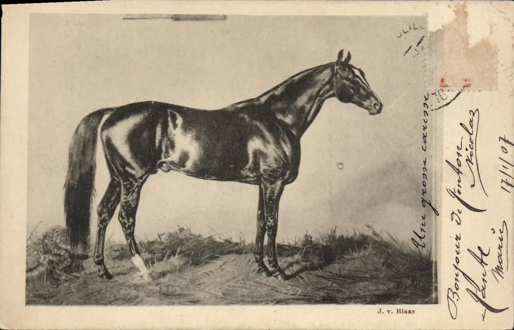Un cheval de course — J. v. Blaas — série 47 - Frente
