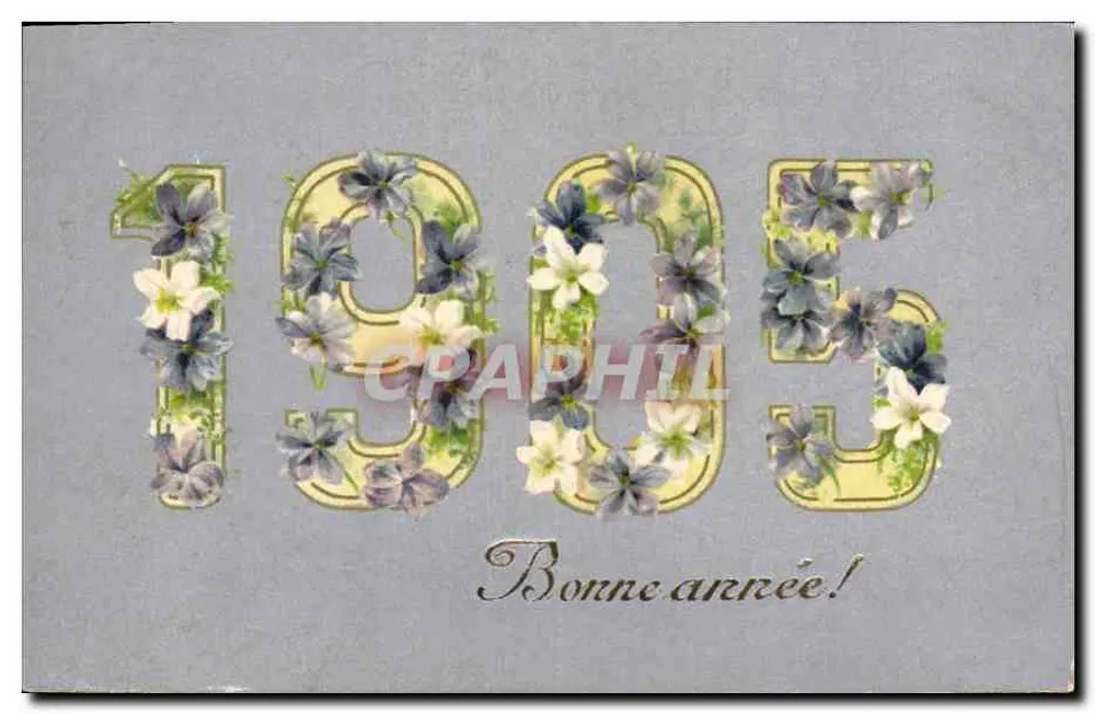 Buen año 1905 — Tarjeta postal de felicitaciones — Editor no identificado - Anverso