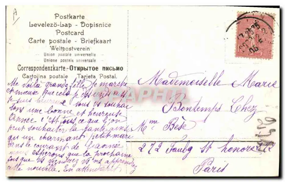 Año Nuevo 1906 — flores y tréboles — editor no identificado, n° 77.09 - Reverso