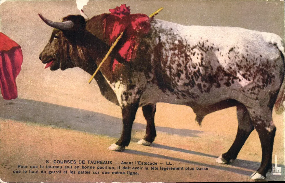 Taureau à l'Estocade — Avant l'Estocade — LL — Éditeur Ellen - Frente