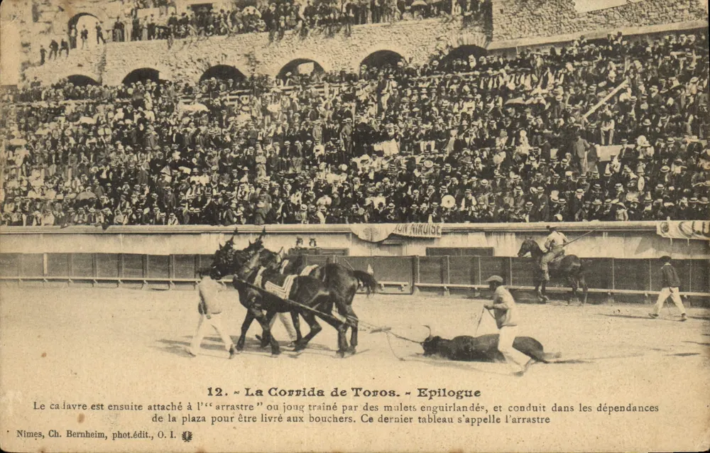 Nîmes — Épilogue de la Corrida de Toros — Ch. Bernheim, phot.édit., O.I. - Vorderseite