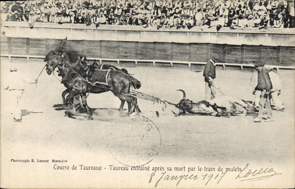 Stierkampf - Toten Stier, gezogen von einer Maultierkolonne — Phototypie E. Lacour, Marseille - Vorderseite