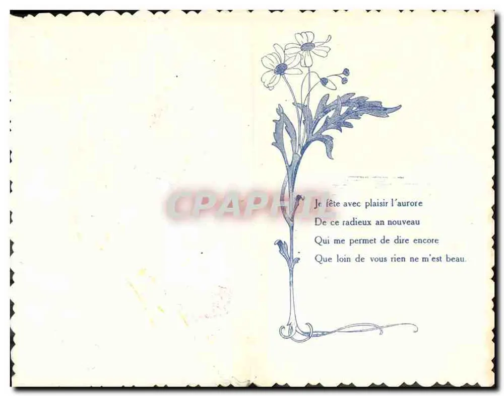 Galho de visco — Boa Ano — Carta postal - Verso
