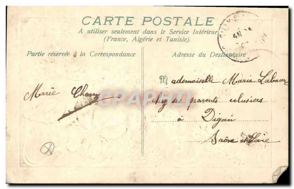 Fleurs — violettes et marguerites — Bon Souvenir — éditeur non visible - Verso