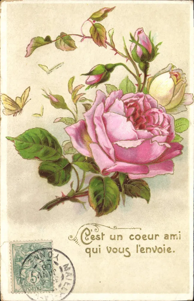 Rosada — carta postal com rosa e borboleta — K.T. editores, série 1033 - Frente