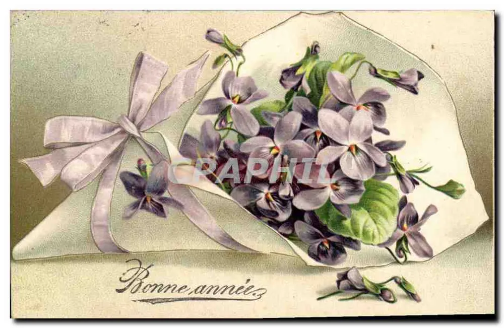 Arranjo de violetas — Boa Ano — editor não visível - Frente