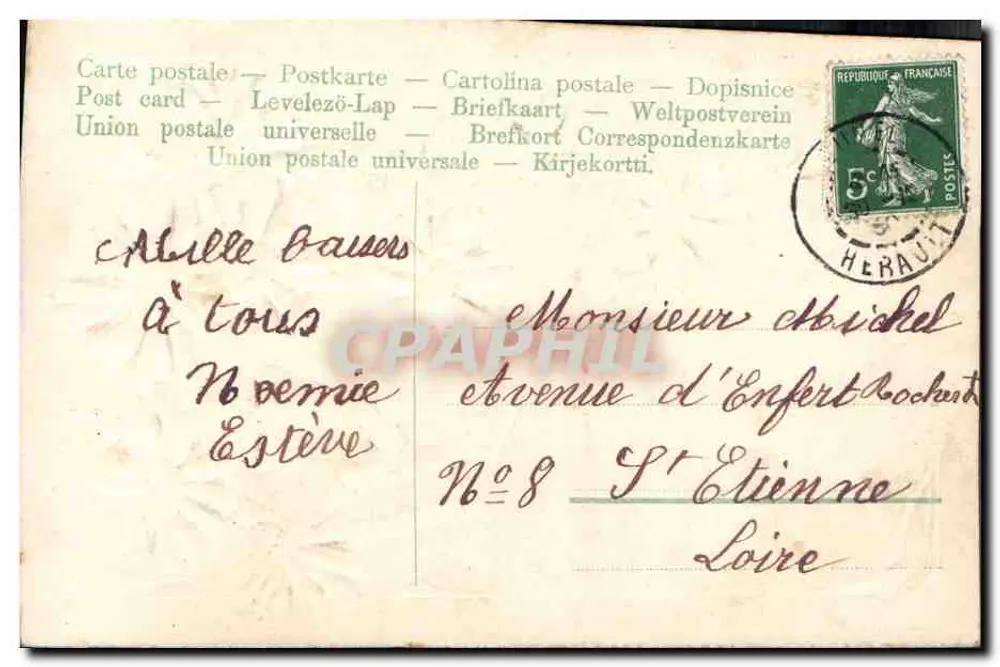 Fleurs bleues — bouquet dans pot — éditeur non visible - Verso