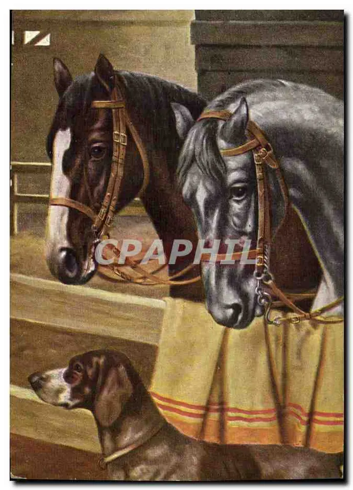 Dois cavalos e um cão — T.S.N. Série 1993 (6 Desenhos) - Frente