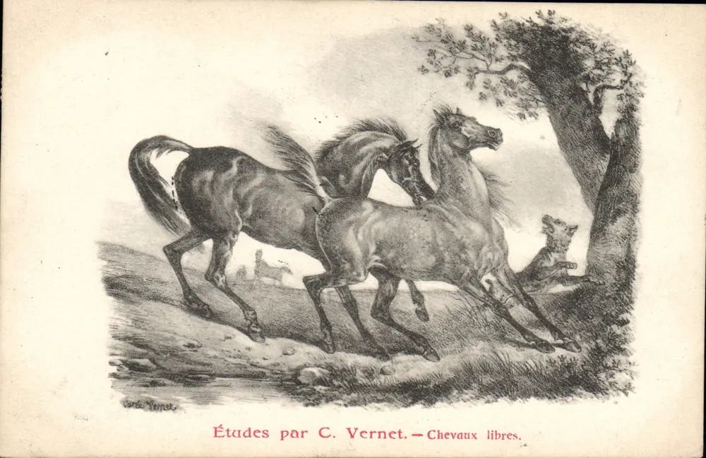 Freie Pferde — Studien von C. Vernet — Verlag nicht sichtbar - Vorderseite