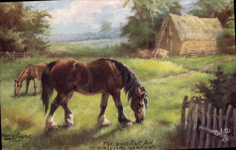 Dwa konie paszące — 'The sweetest bit of grass in the meadow.' — Harry Payne — wydawca Oilette - Awers