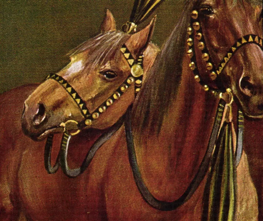 Cavalos — adornados com arreios dourados — H.K. & Co., München, Série 564 - Frente