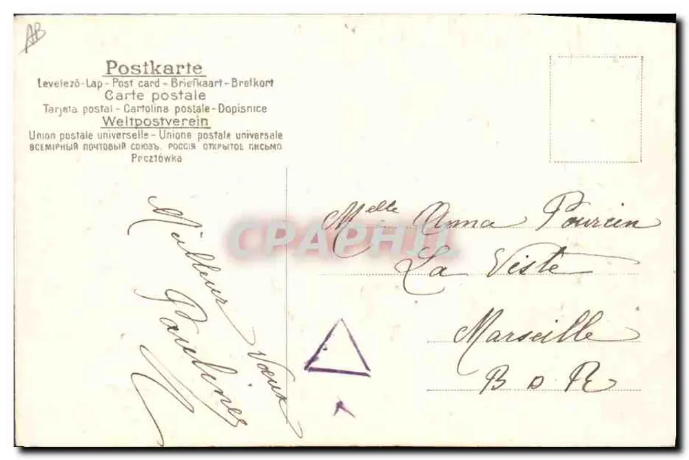 Neujahrsgruß 1907 — Tannenblätter und Eis — Verlag nicht sichtbar - Rückseite