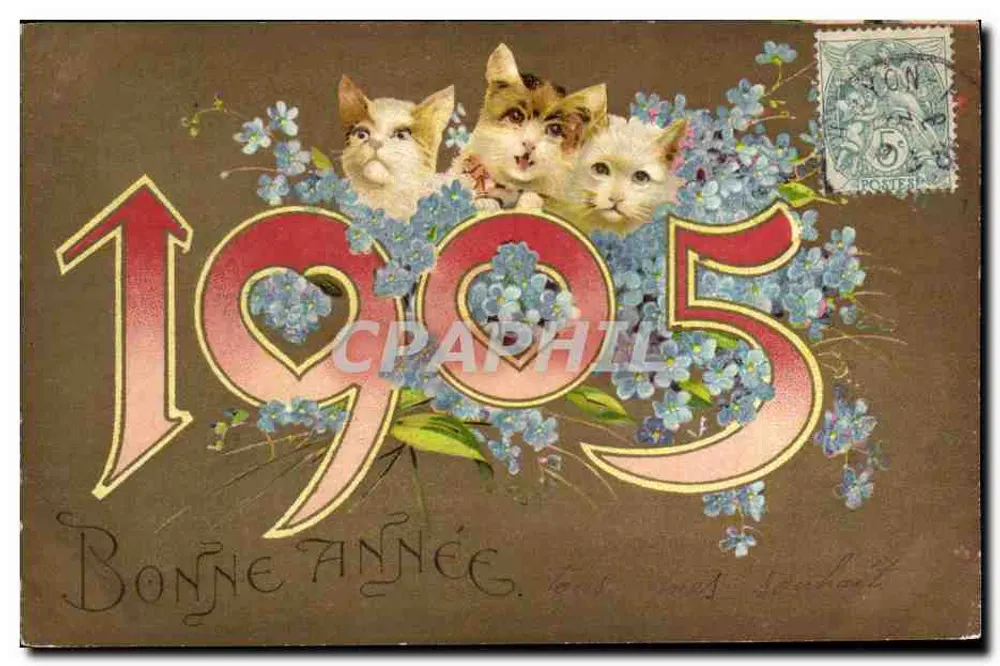 Drei Katzen — 1905 — Verlag nicht sichtbar - Vorderseite