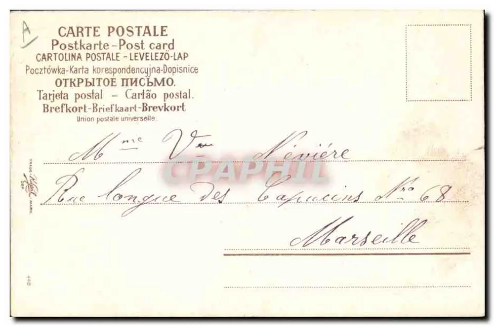 Drei Katzen — 1905 — Verlag nicht sichtbar - Rückseite
