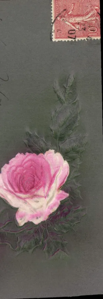 Rosa — ilustração — editor desconhecido - Frente