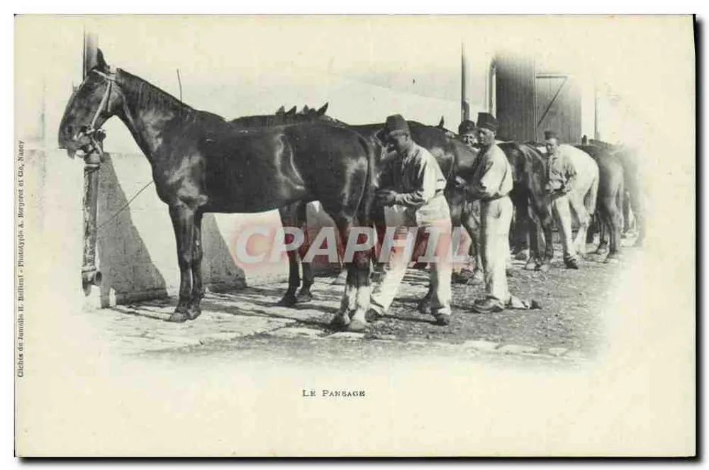 Le Pansage — Thema: Männer, die Pferde versorgen — Foto von Jammolo H. Millim, Nancy - Vorderseite