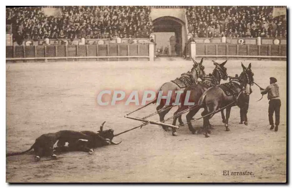 O arrastre — espetáculo de touro em corral — sem editor nem número visível - Frente