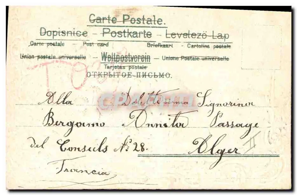 Flores e trevo — cartão postal decorativo — editor não identificado, número de série não visível - Verso