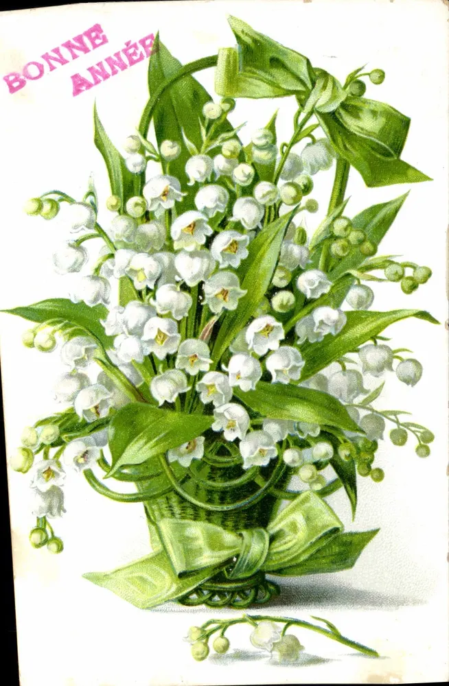 Büschel von Mohnblumen — Frohe Neujahr — unbekannter Verlag, Seriennummer nicht sichtbar - Vorderseite