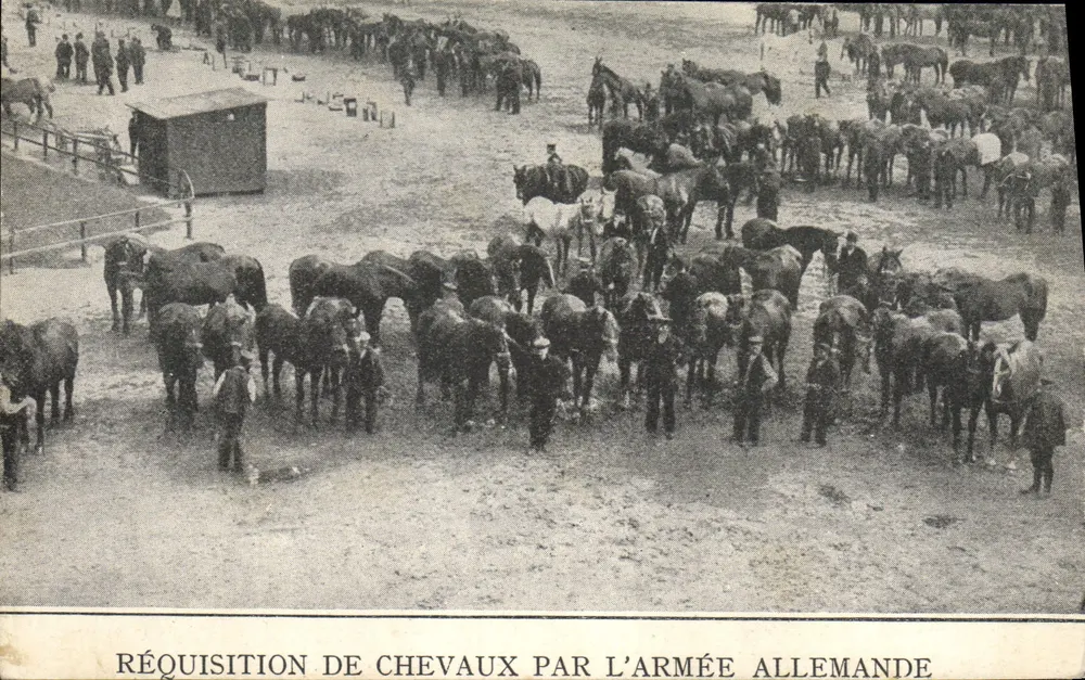 Pferderequisition durch die deutsche Armee — Private Collection von Herrn Guyot - Vorderseite