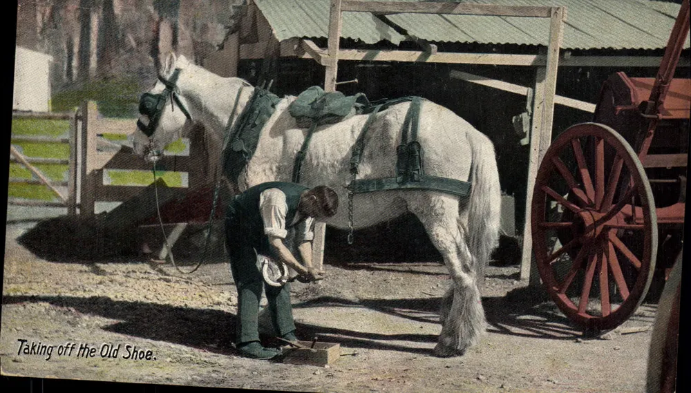 Nimm das alte Eisen — Ein Schmied am Pferd — Wildt & Kray, London, Serie 1889 - Vorderseite