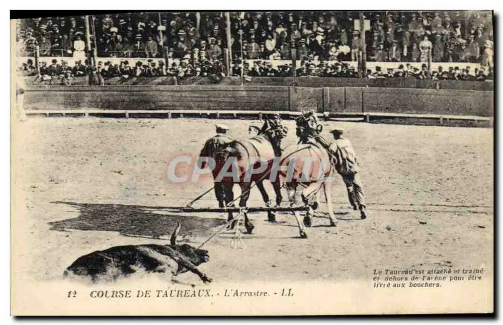 Corrida de touros - L'Arrastre - LL - Frente