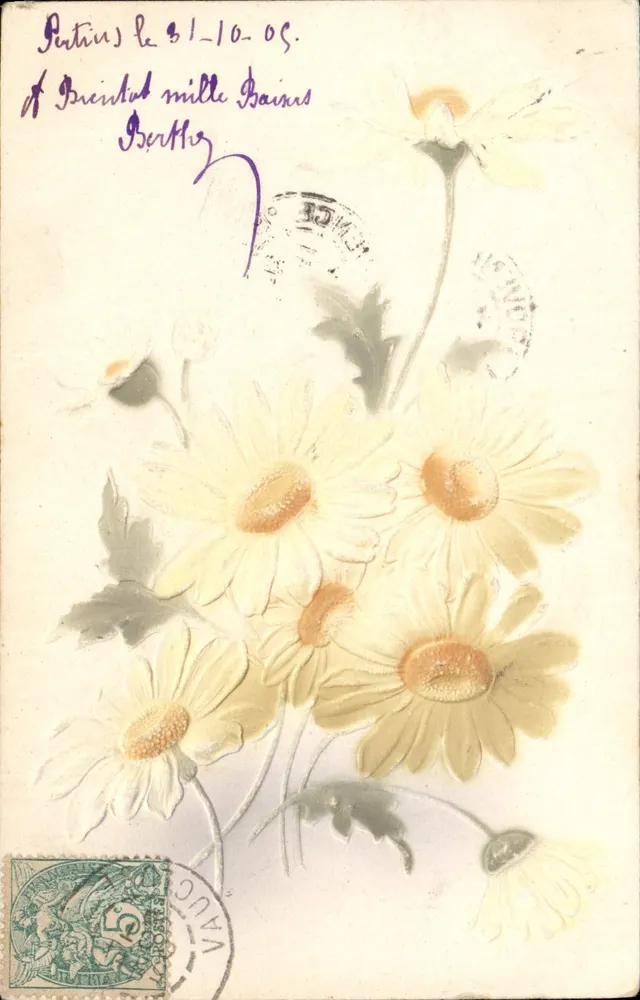Flores de margarida — carta postal — editor desconhecido - Frente