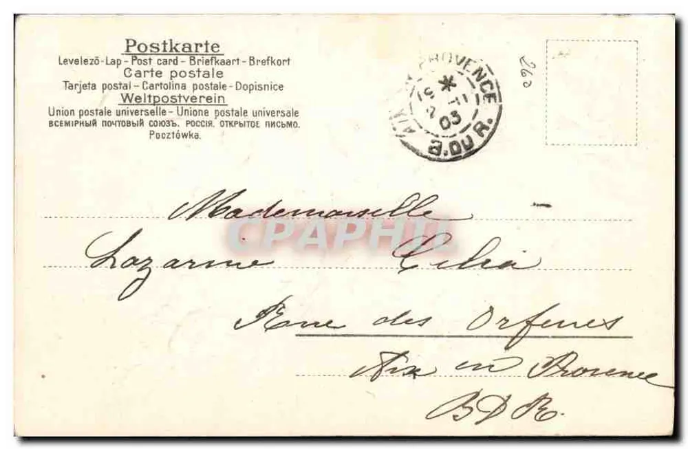 Flores de margarida — carta postal — editor desconhecido - Verso