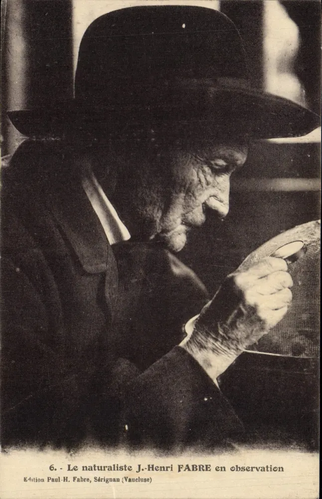 O naturalista J.-Henri FABRE em observação — Edição Paul-H. Fabre, Sérignan (Vaucluse) — n°6 - Frente