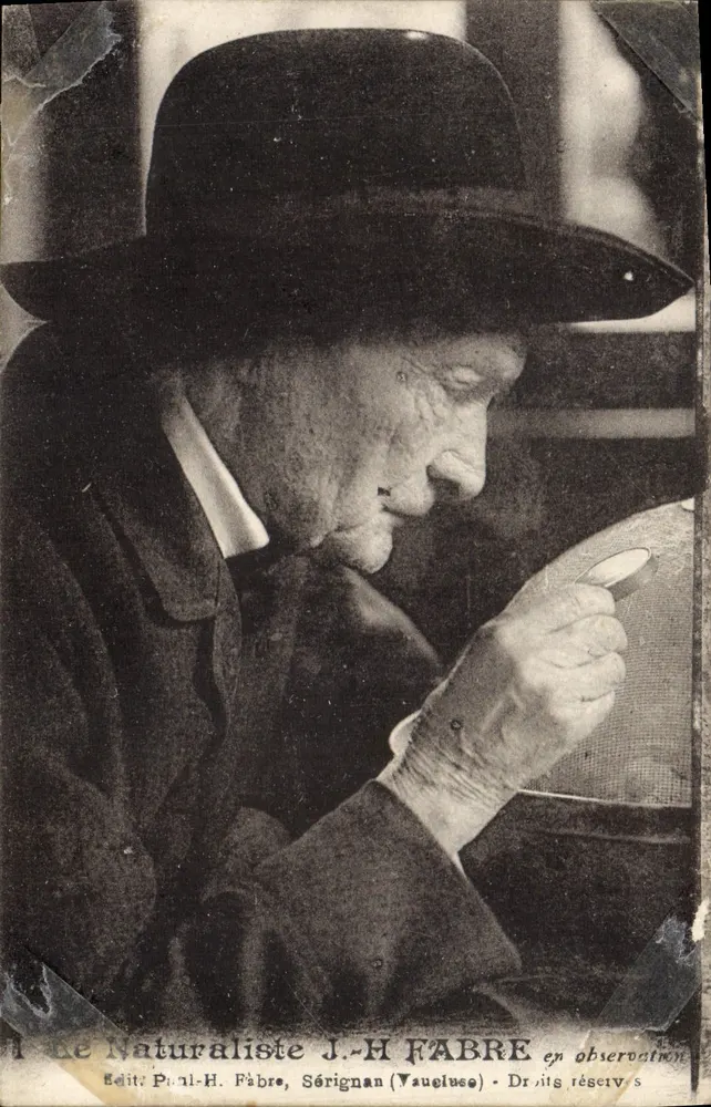 O Naturalista J.-H. Fabre em observação — Editor Paul-H. Fabre, Sérignan (Vaucluse) - Frente