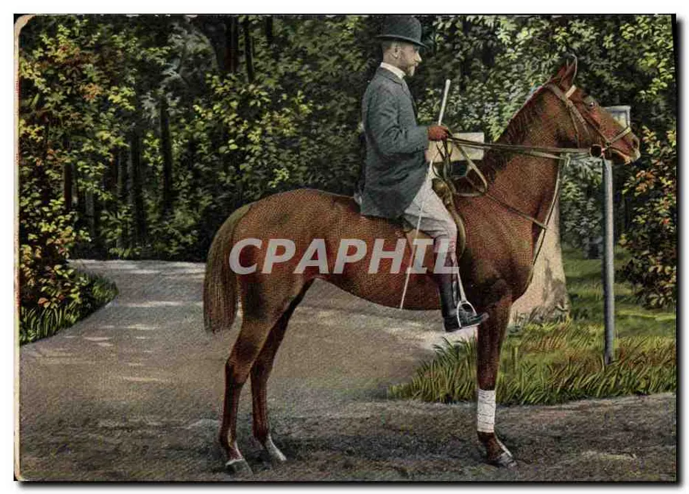 Cavaleiro a cavalo — Floresta — Editor E.S.D. série 509 - Frente