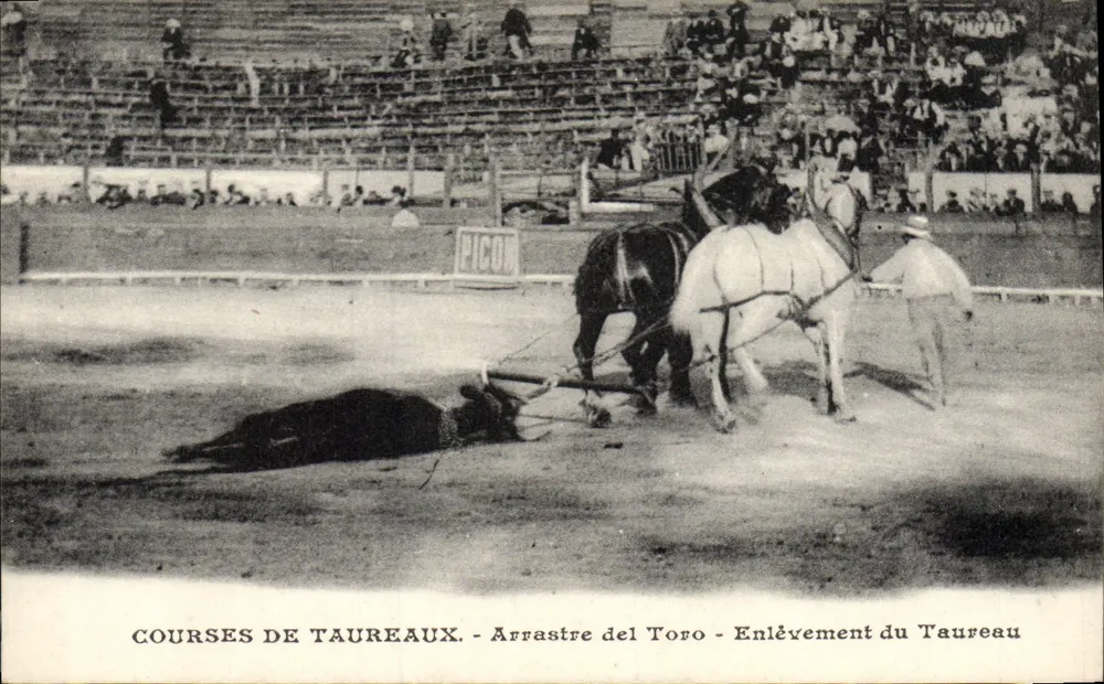Stierkampf - Arrastre del Toro - Enlèvement du Taureau - PICON - Vorderseite