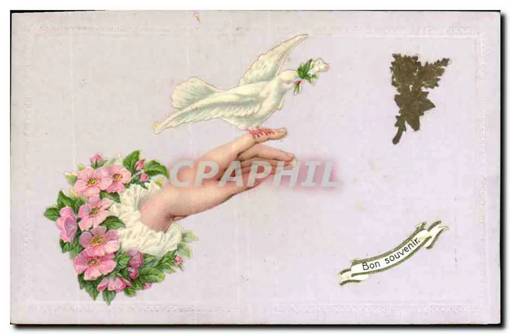 Pomba com ramo de oliveira — Bom souvenir — Carta postal impressa - Frente