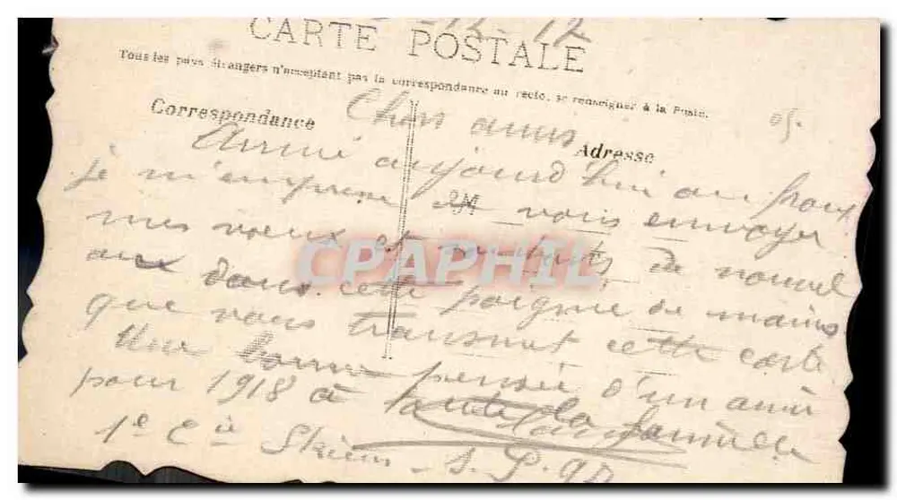 Flores de primavera — buquê de pensos e violetas — editor desconhecido - Verso