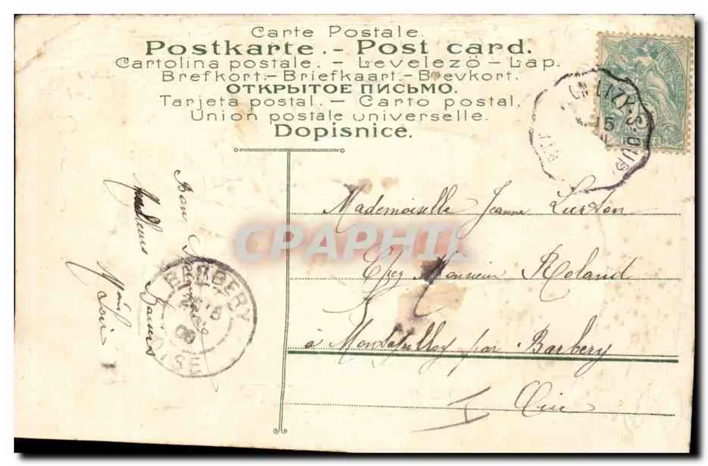 Mão segurando violetas e trevo — Lembrete doce — n° 474 - Verso