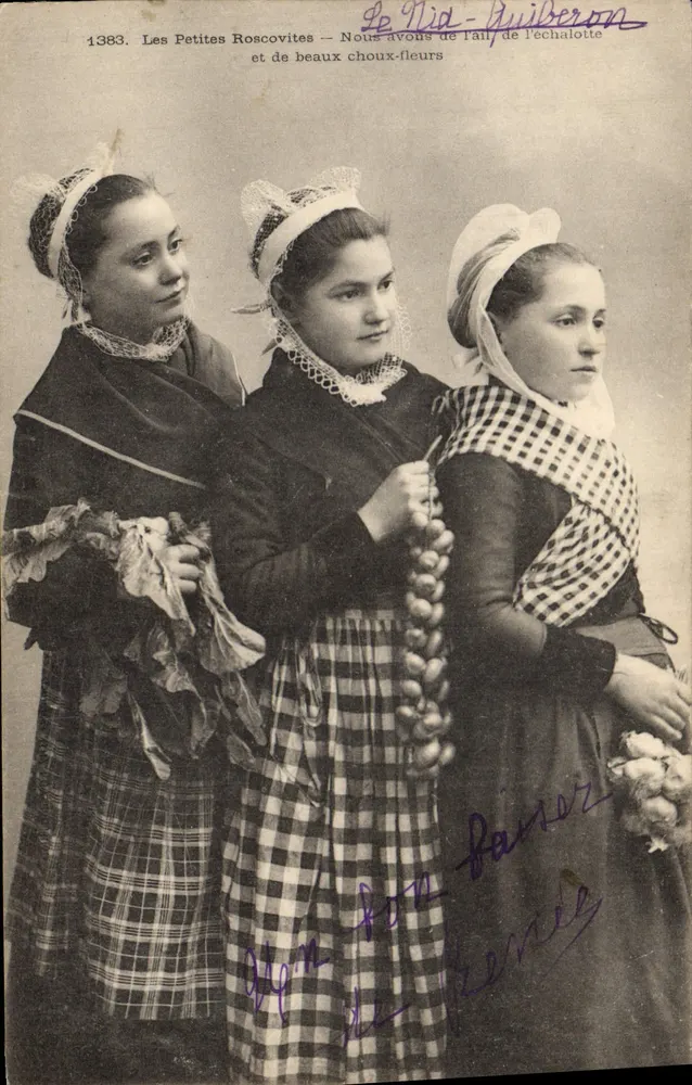 Małe Roscovity — Mamy ziemniaki i piękne kalafiorze — Le Lid - Guiberon - Awers