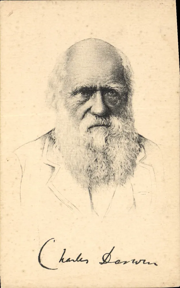 Charles Darwin — retrato gravado com assinatura — Stiangel & Co. n° 49104 - Frente