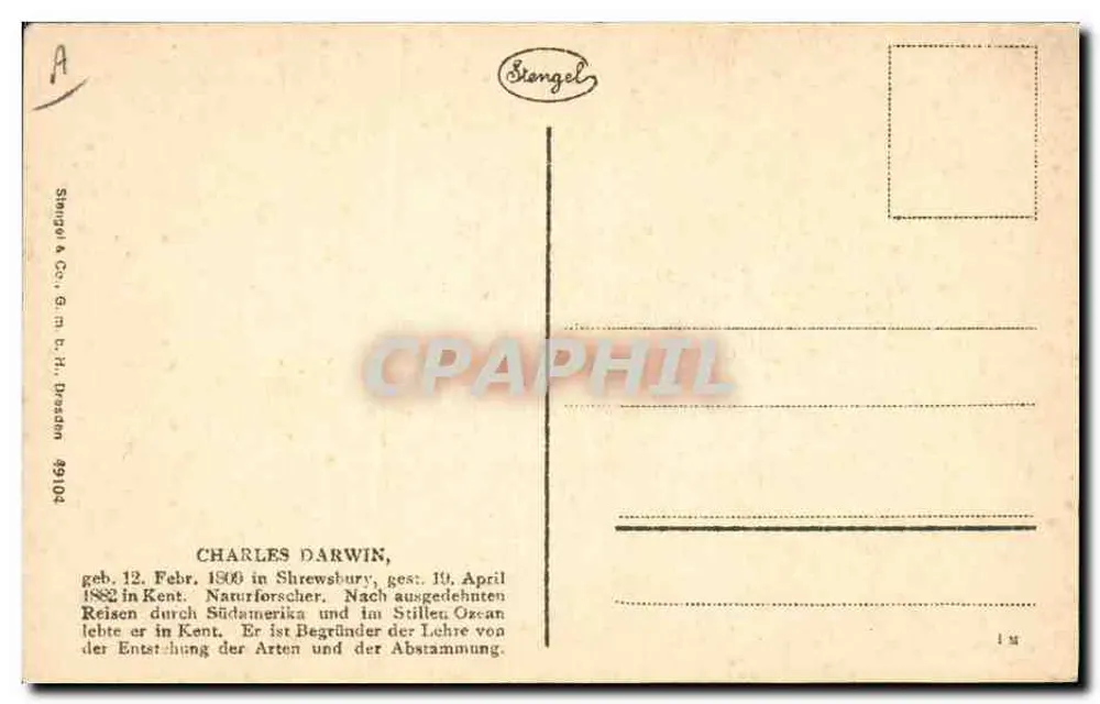 Charles Darwin — retrato gravado com assinatura — Stiangel & Co. n° 49104 - Verso