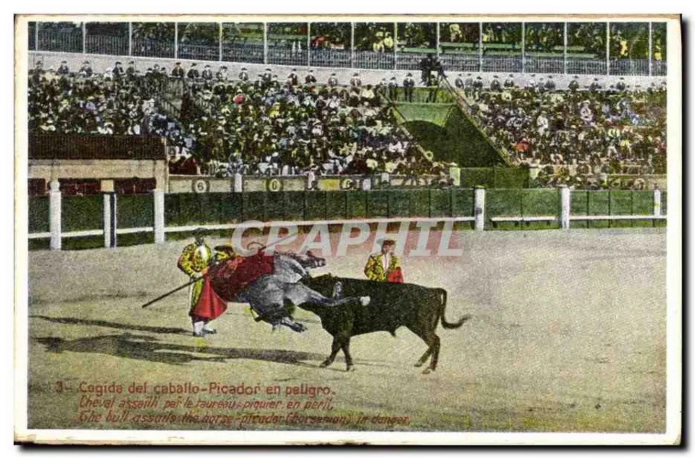 Corrida de touros — Cavalo atacado pelo touro — Picador em perigo — Corrida de Toros n° 71 m. - Frente