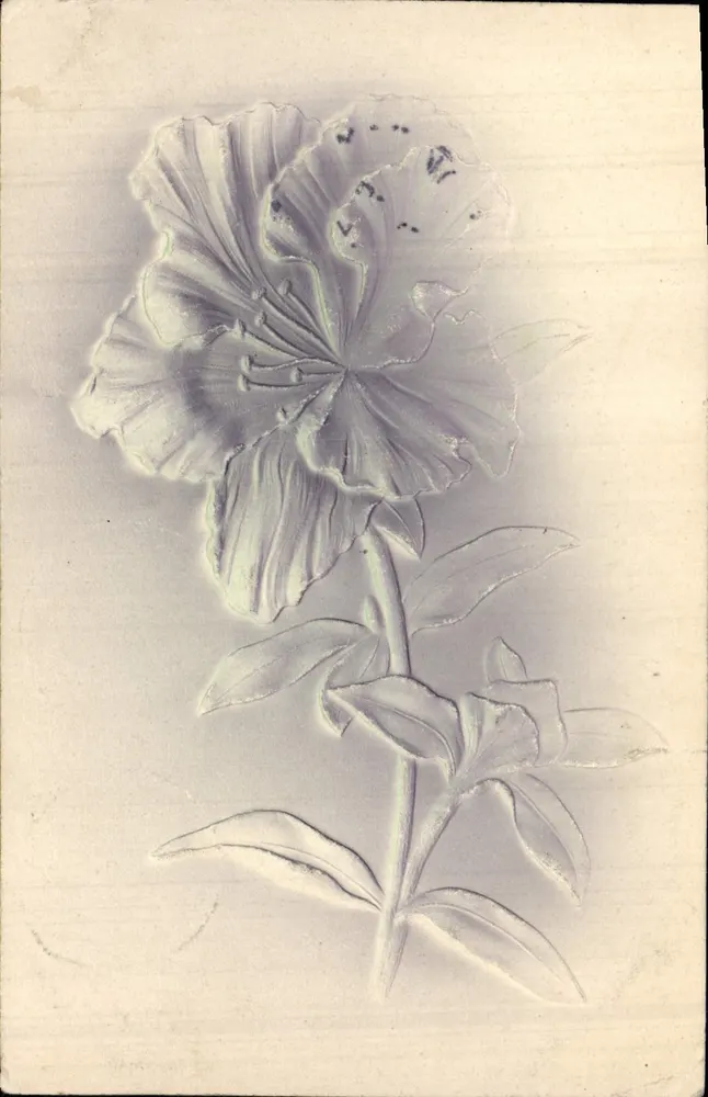 Lily — gravure en relief — éditeur 'Postkarte' (verso) - Frente
