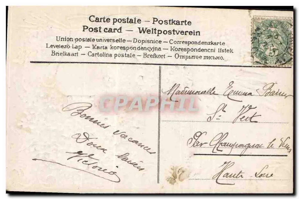 Fleurs bleues dans un vase — Sincère affection — Carte postale universelle - Rewers