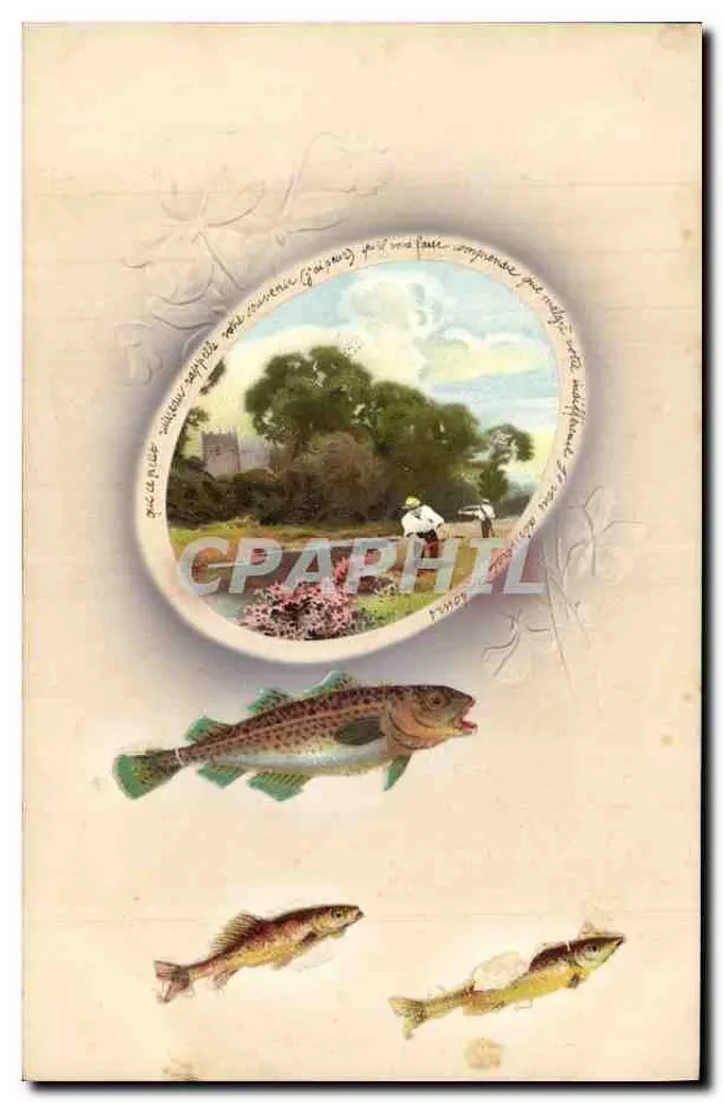 Pescar truta — ilustração com paisagem e peixes — editor M&B - Frente